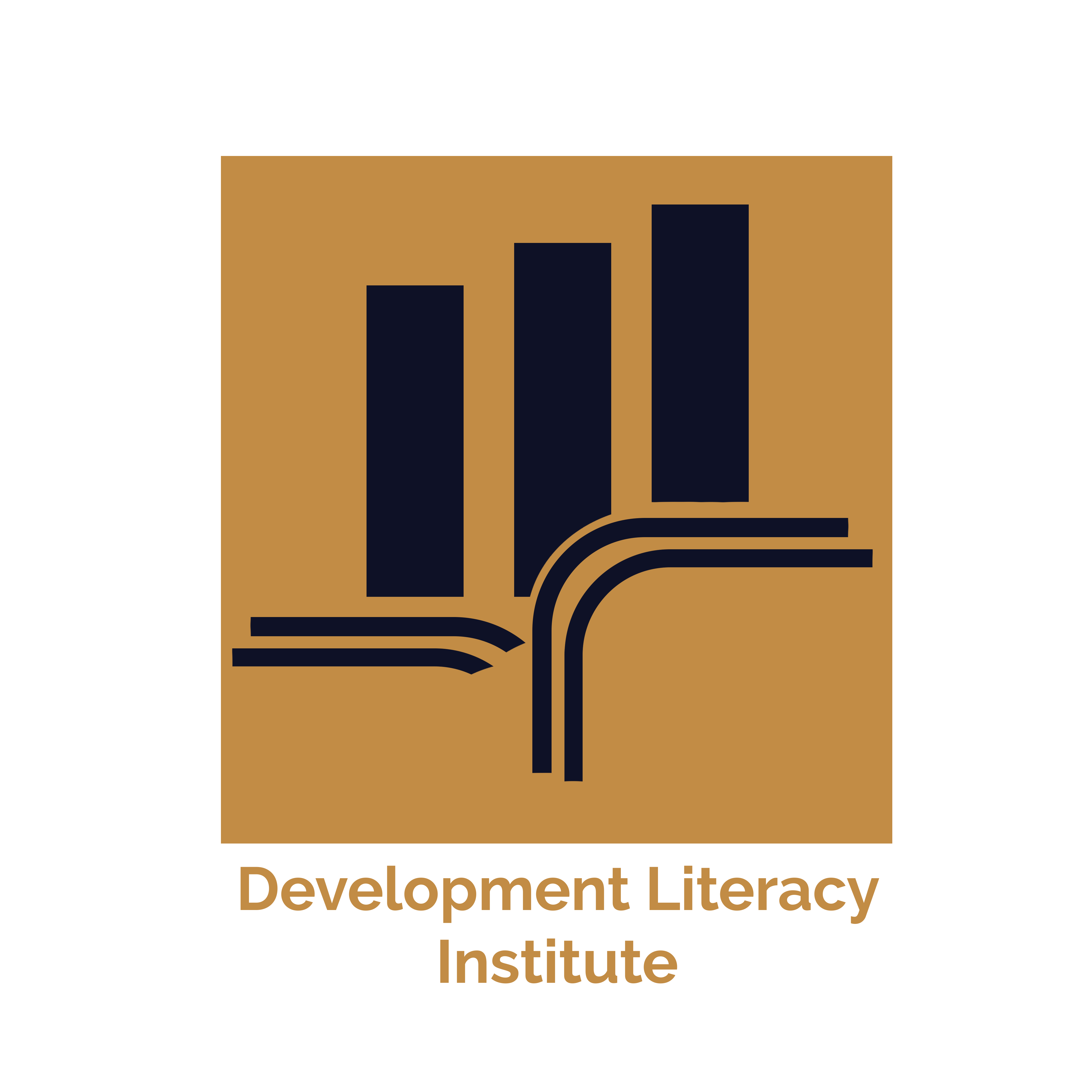 Development Literacy Institute